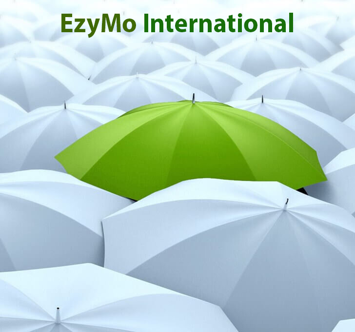 EzyPetRoInternational